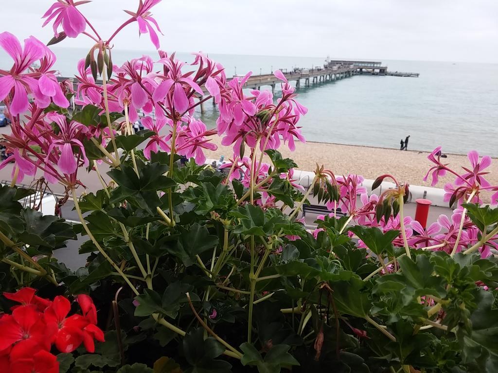 Waterfront Hotel Deal Bagian luar foto